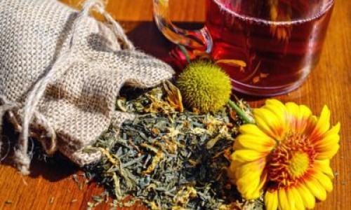 散瘀中药网 - 为你提供化结节散瘀的中草药、化结节散瘀的中草药